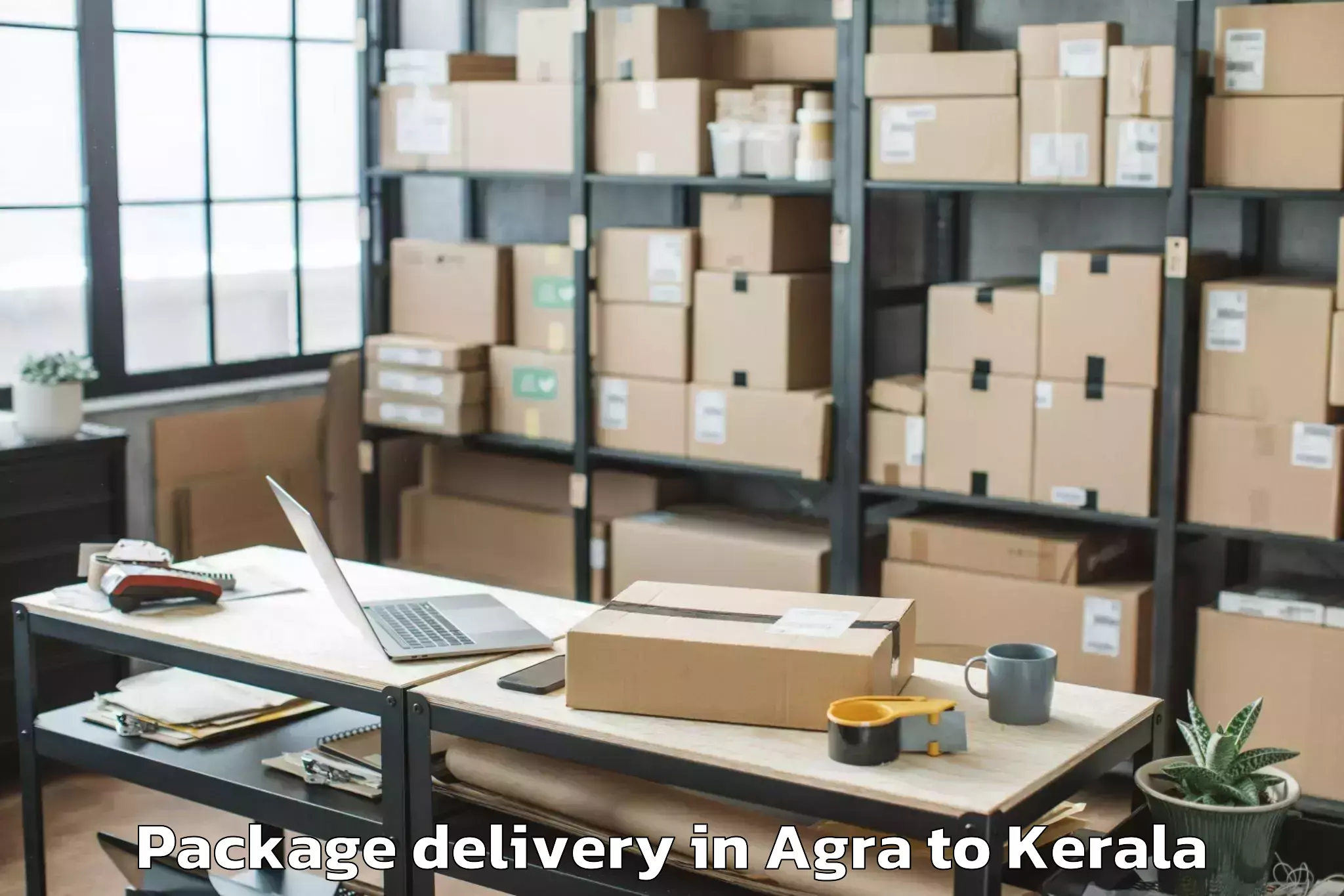 Professional Agra to Kerala Kalamandalam Cheruthuru Package Delivery